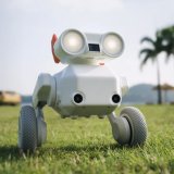 シリコンバレー発、全地形対応AIカメラロボット「Beni（ベニ）」