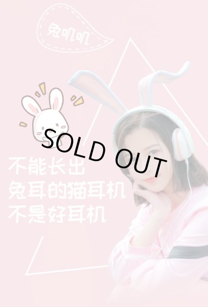 画像3: うさみみヘッドホン特急便 (3)